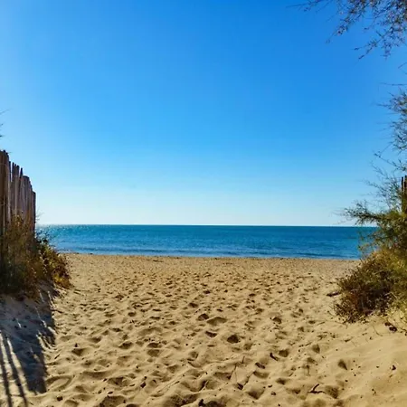 In Valras-plage Near Sandy *